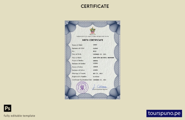 listo para imprimir plantilla PSD de certificado de nacimiento de registro ci 49